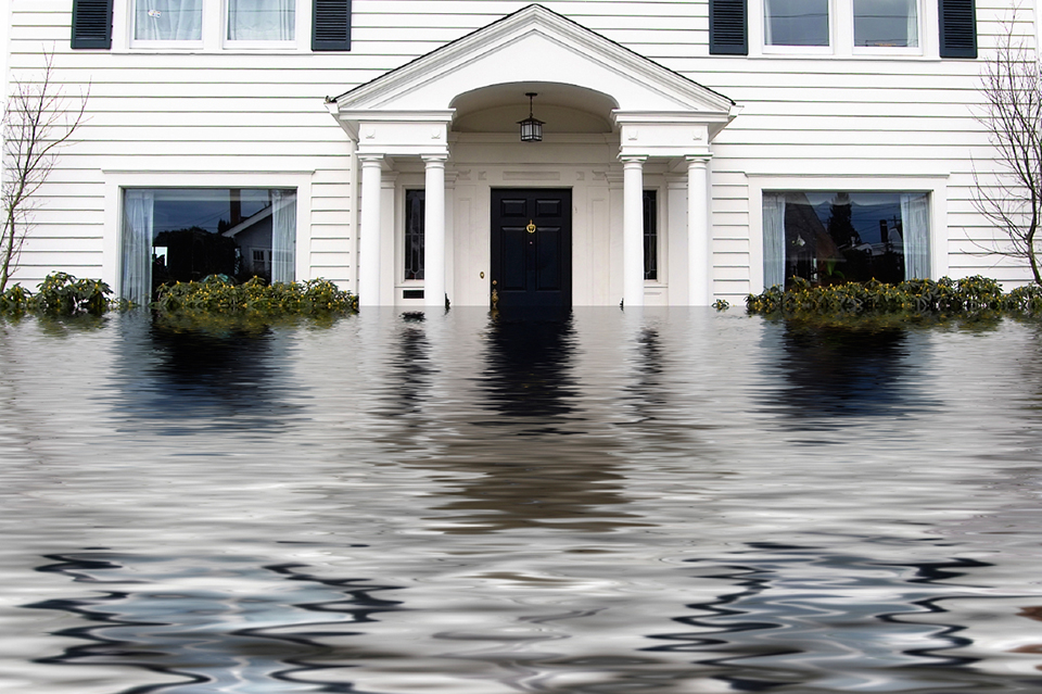fl flood insurance quote